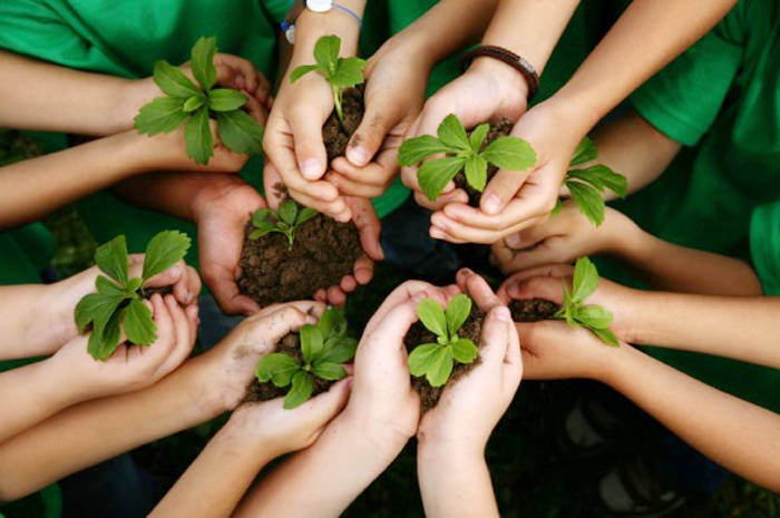 DERMAFLASH Partners with Gardeneers.org